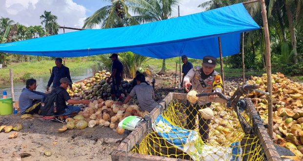 Bantu Warga Kupas Kelapa Cara Polisi Kuala Kampar Sampaikan Pesan Pemilu Damai