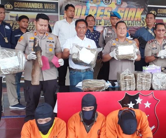Tiga Pengedar Ganja Serta 29 Paket Diamankan Polres Siak