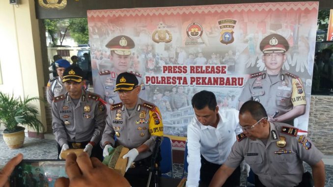 Polresta Pekanbaru Sukses Tangkap Jaringan Ganja Dari Aceh