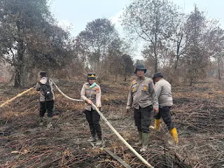 Karhutla Dekat Taman Nasional Zamrud Riau Terkendali, Tim Gabungan Akhiri Operasi Pemadaman 