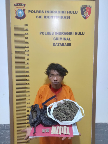 Polres Inhu Ringkus Pengedar Ganja Kering, BB 950 Gram