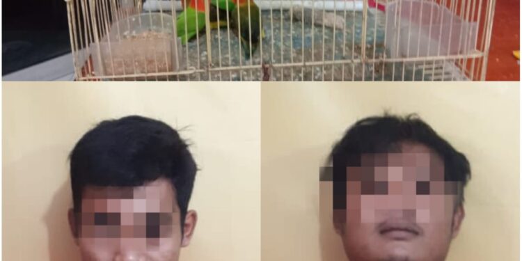 Bongkar Toko Burung di Desa Petapahan, 2 Pelaku Pencurian ini Ditangkap Polsek Tapung