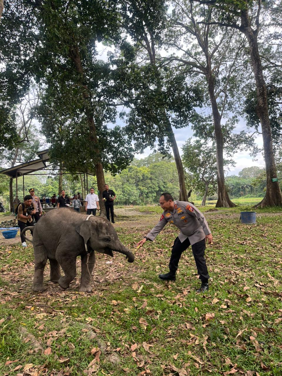 Sembari Patroli, Kapolda Riau Kunjungi Keluarga Gajah di TWA Buluh Cina