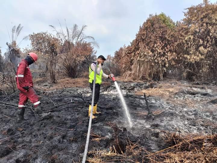 Berjuang Tanpa Pamrih Beberapa Hari, Akhirnya, Polisi Bersama Tim Gabungan Padamkan Kebakaran Lahan Di Desa Pauh