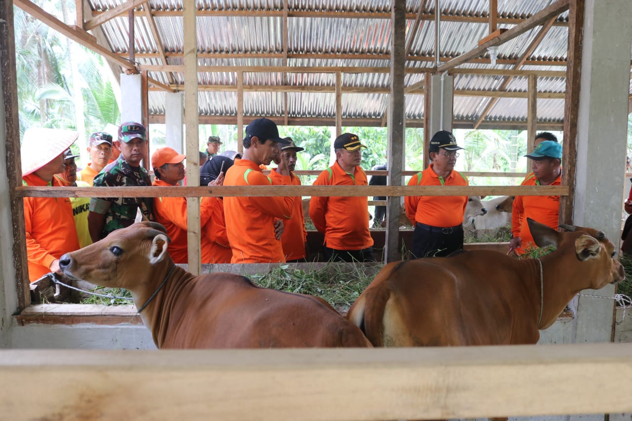 Kapolres Inhil Bersama Forkopimda Kunjungi Peternakan Sapi 