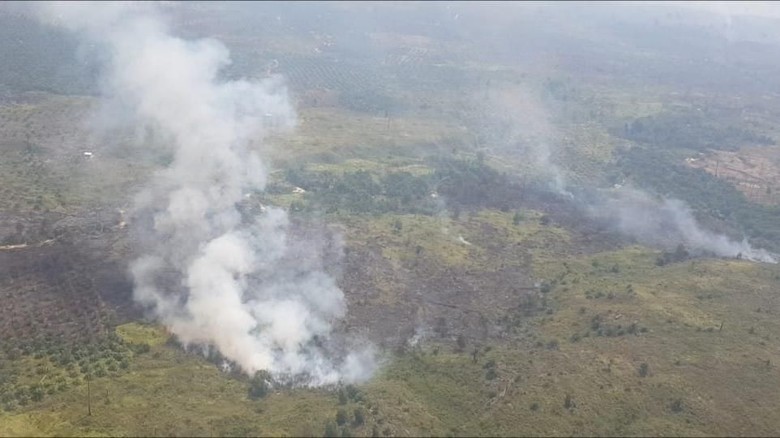 Bantu Polda Riau: Pasukan Kostrad, Amankan Tiga Pembakar Lahan Taman Nasional Tesso Nilo 