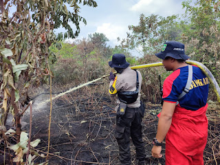Meski Panas terik serta angin kencang Tim Gabungan tetap lakukan Pendinginan Karhutla di Desa Pulau Muda kecamatan Teluk Meranti.