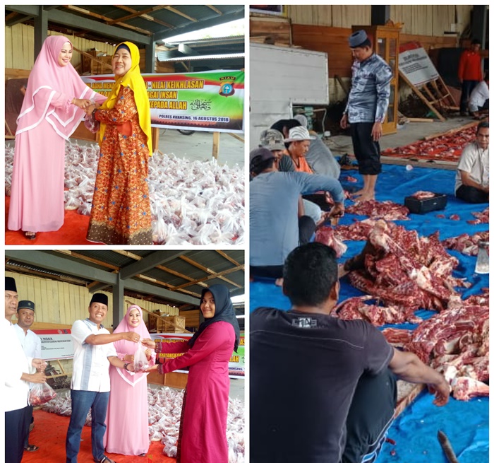 Polres Kuansing Berikan 14 Ekor Sapi Qurban Di Hari Raya Idul Adha Ini