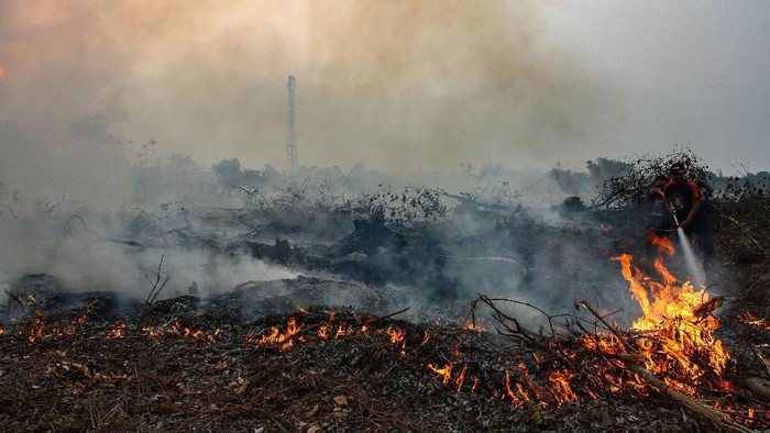 Lahan Gambut Dua Desa di Bonai Darussalam Diduga Dibakar, Polres Rohul Lakukan Penyelidikan