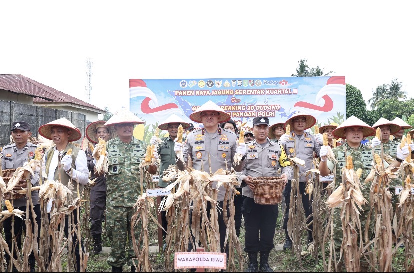 Panen Raya Jagung di Pekanbaru, Polda Riau Tegaskan Komitmen Kawal Swasembada Pangan Nasional
