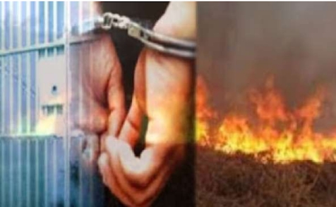 Jumlah Tersangka Karhutla Bertambah, Menjadi 36 Orang