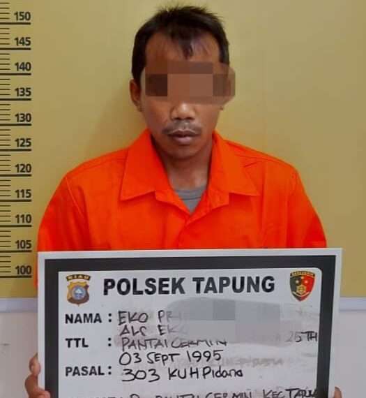 Polsek Tapung Tangkap Penjual Nomor Judi Togel Online di Desa Pantai Cermin