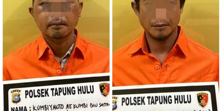 Polsek Tapung Hulu Amankan 2 Pelaku Pencuri Hewan Ternak Sapi di Desa Senama Nenek