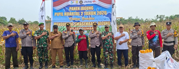 Perkuat Swasembada Pangan, Polsek Rumbai Panen 3 Ton Jagung