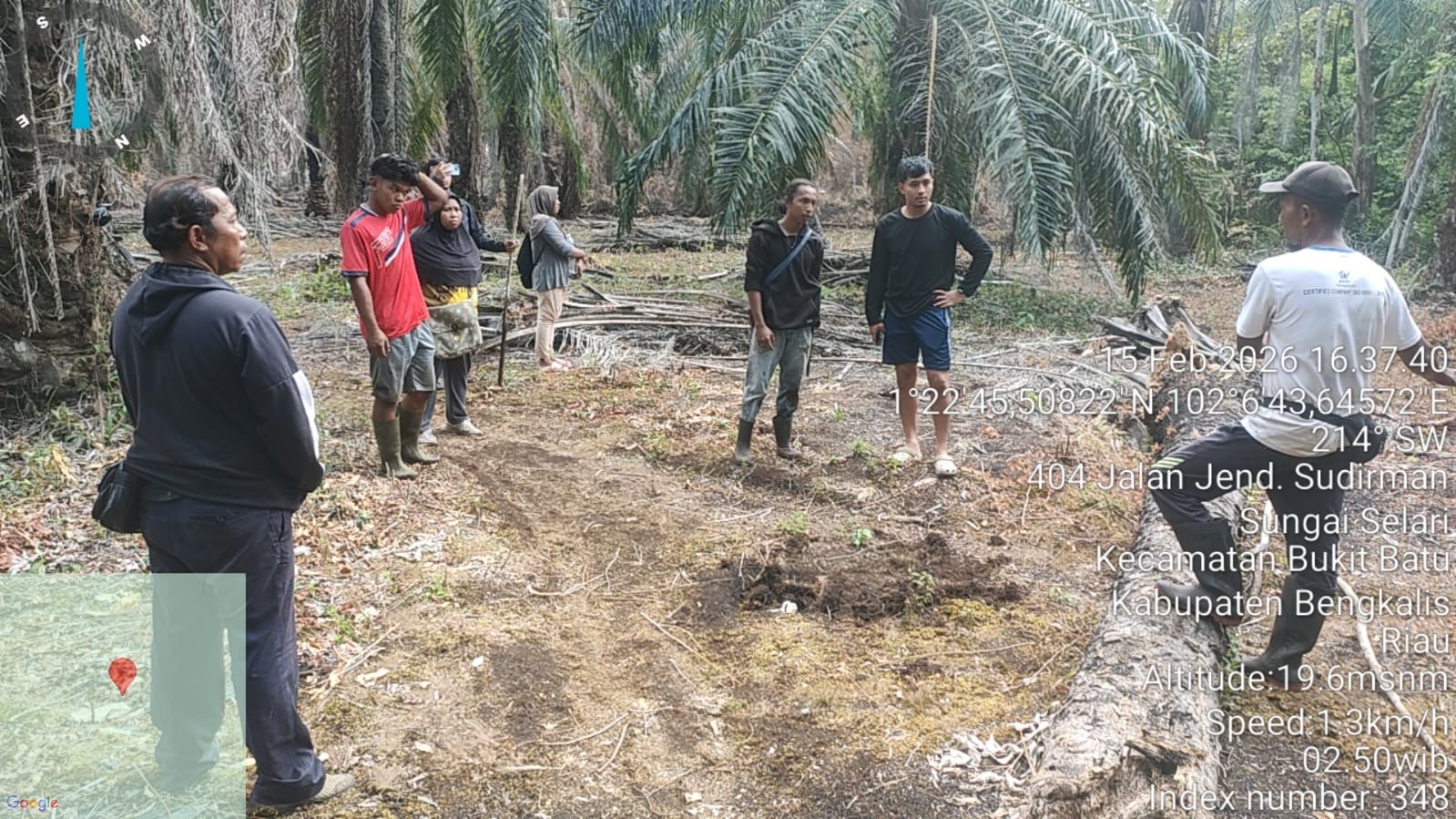  Polisi Tetapkan Karyawan BUMD Tersangka Perambahan Hutan di Bengkalis Riau