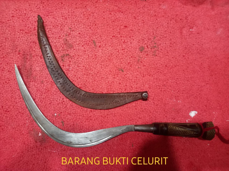 Palak Korbannya dengan Celurit, 2 Pemuda di Inhil Dibekuk Resmob Polres Inhil