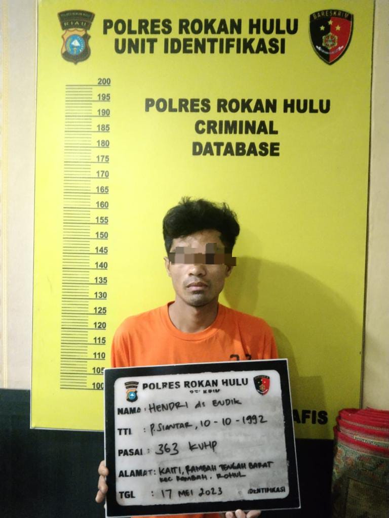 Maling HP Dan Uang Tunai Di Tangkap Team Resmob Polres Rohul