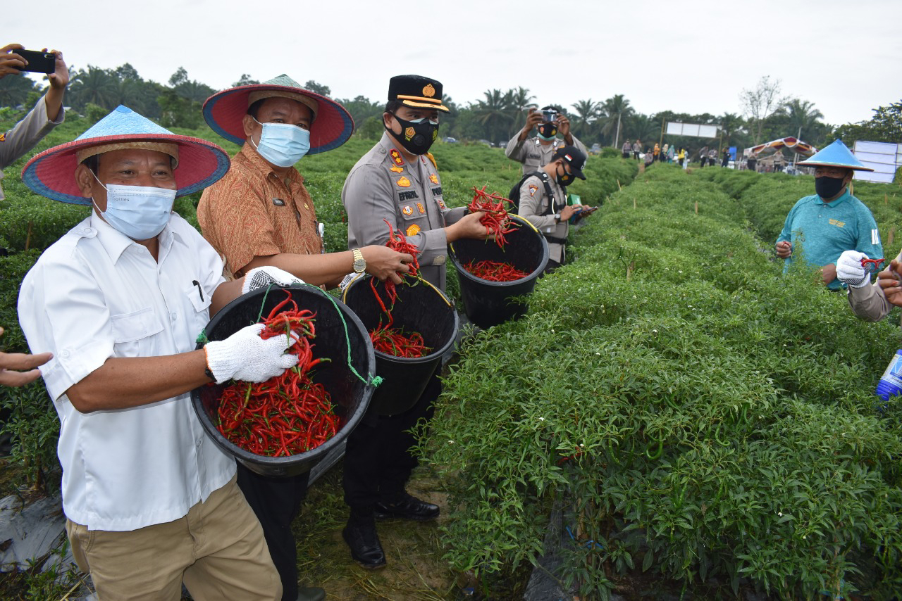 Program Kampung Tangguh Nusantara Talang Jerinjing Dinilai Mampu Sejahterakan Masyarakat