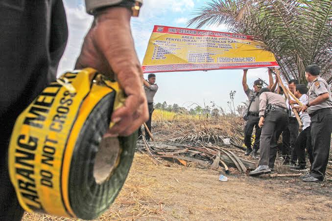 Polda Riau Tetapkan 2 Tersangka Korporasi Pembakar Hutan