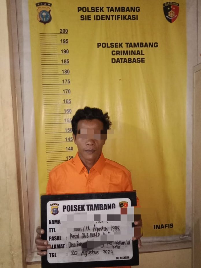 Mencuri Emas Senilai Ratusan Juta, Warga Rohul Ditangkap Polsek Tambang