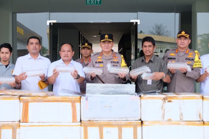 Ratusan Ribu Benih Lobster Berhasil Digagalkan Polda Riau