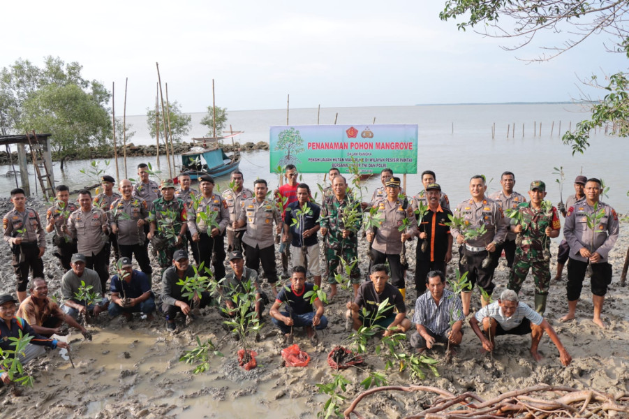Cegah Abrasi dan Perkuat Sinergitas, TNI-Polri di Meranti Tanam Mangrove