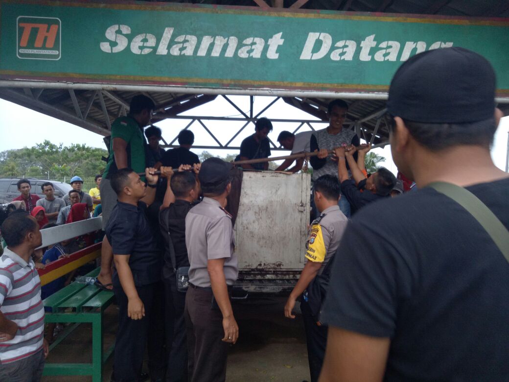 Evakuasi Harimau Sumateraâ€Bonitaâ€Di PT.THIP Desa Tanjung Simpang Kecamatan Pelangiran