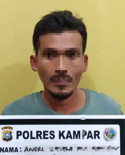 Seorang Pengedar Shabu Ditangkap Resnarkoba Polres Kampar di Kel. Pulau Bangkinang