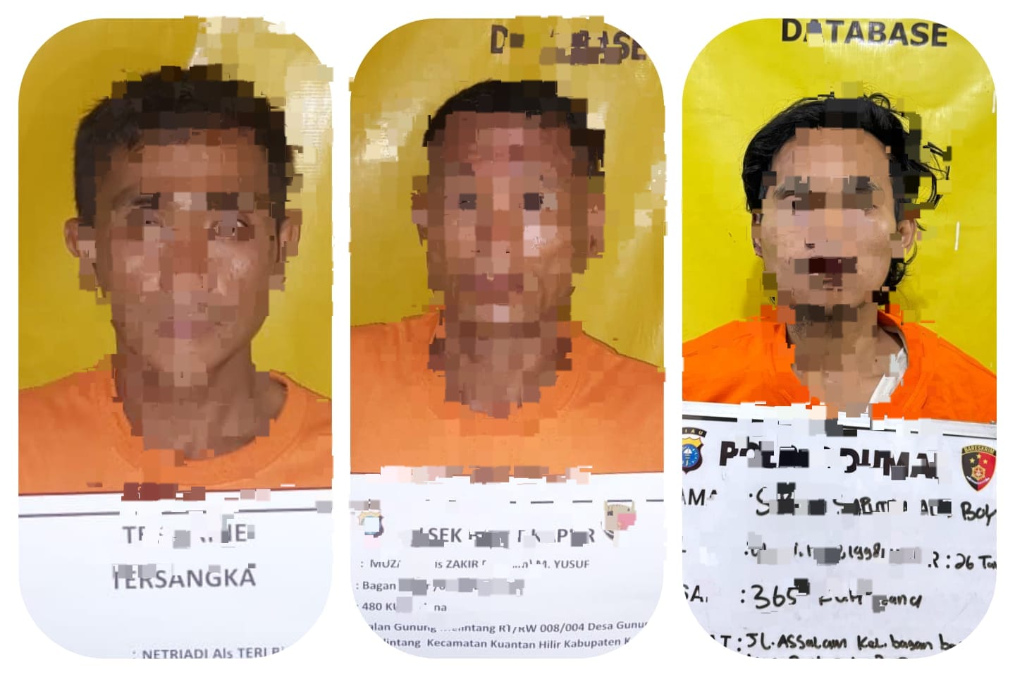 Seorang Pria Berinisial S ( 26)) Berhasil Di Amankan Unit Reskrim Polsek Bukit Kapur