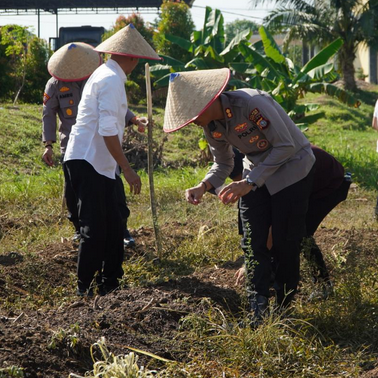 Dukung Program Indonesia Swasembada Pangan, Polres Rohul Gelar Penanaman Benih Jagung