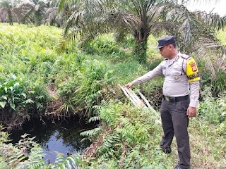 Tinjau Langsung Lokasi, Bhabinkamtibmas Polsek Bunut Cek Ketersediaan Air di Kanal 