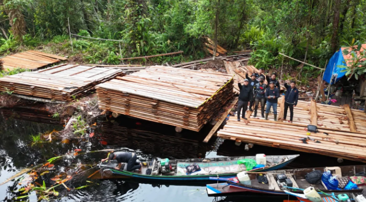 Polres Inhu Dan Tim Gabungan Cegah Kerusakan Hutan Dan Temukan Ratusan Kubik Kayu