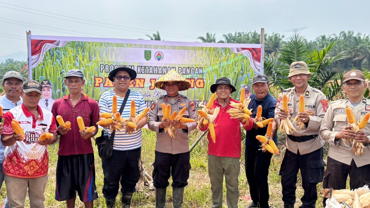 Sinergi Polri dan Masyarakat: Panen Jagung Kuartal II di Inhil Perkuat Swasembada Pangan Mandiri