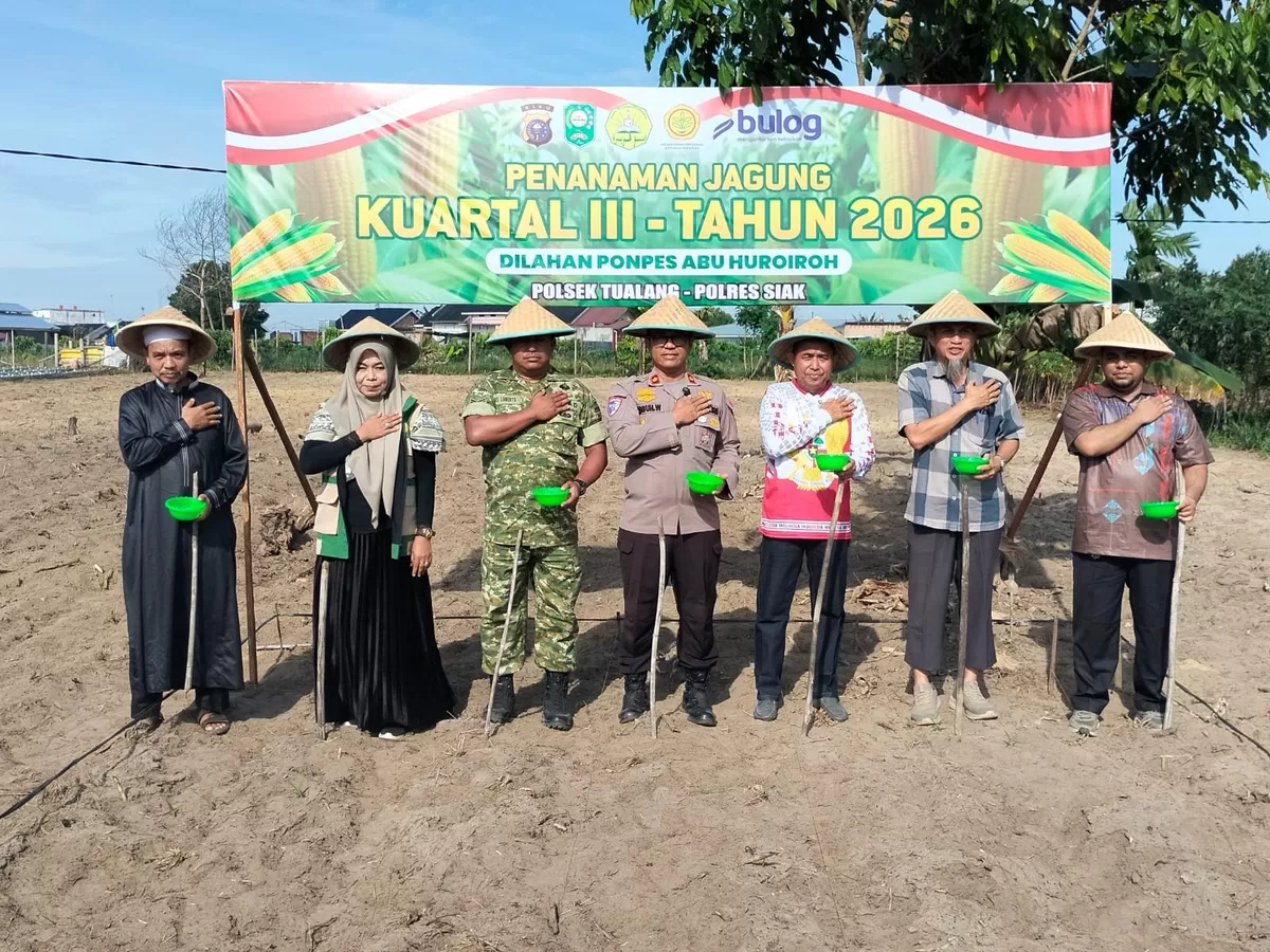 Polsek Tualang Bersama Forkopimcam Tanam Jagung Kuartal III, di Ponpes Abu Huroiroh