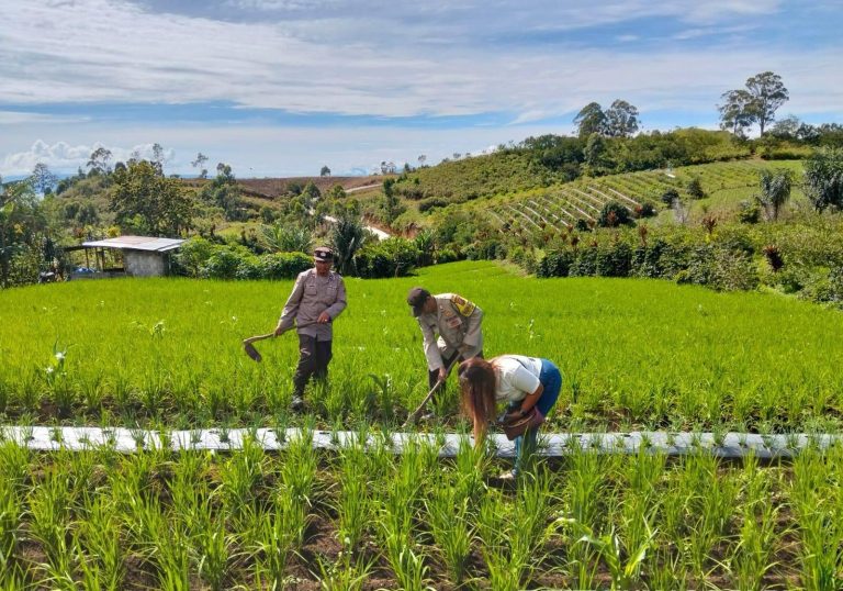 Bersama Membangun Negeri Lewat Ketahanan Pangan