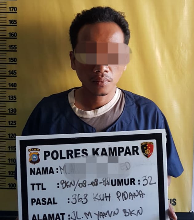 Satreskrim Polres Kampar Ringkus Seorang Pelaku Curanmor Beberapa Jam Setelah Kejadian