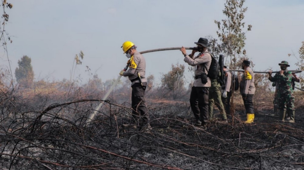Hingga April 2022, Polda Riau Sudah Tangani 4 Kasus Pembakaran Hutan dan Lahan