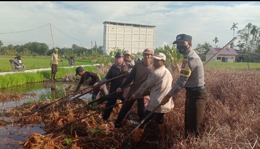 Bukti Polri Hadir Ditengah Masyarakat, Bhabinkamtibmas Desa Sendaur Ikut Goro