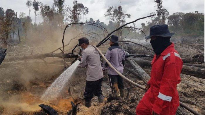 Cegah Karhutla, Polda Riau Lakukan Penyuluhan Sebanyak 529.557 dan Buat Aplikasi Berbasis Teknologi