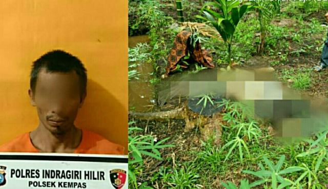 IRT di Kempas Inhil Tewas Tanpa Busana, Tak Sampai 24 Jam Pelaku Diringkus