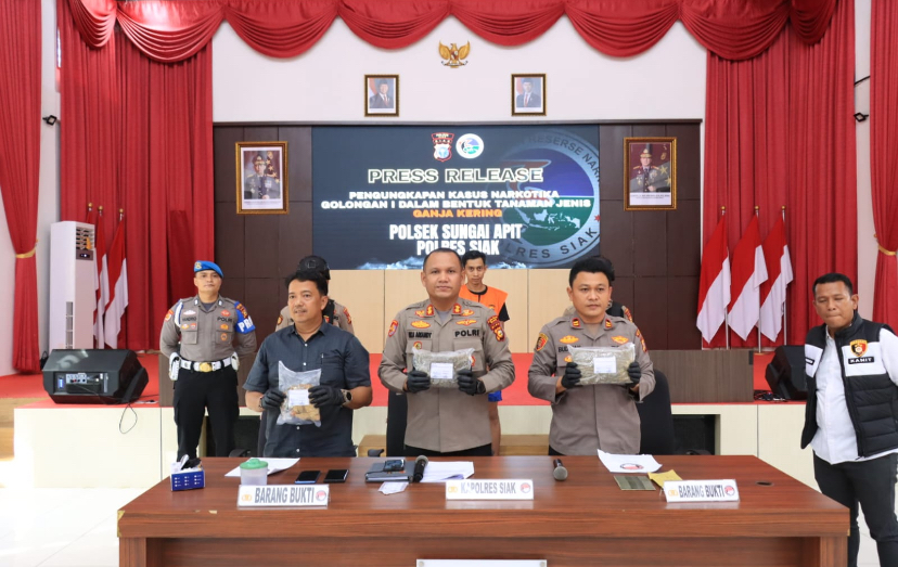 Polres Siak Ungkap Kasus Peredaran Ganja Kering seberat 2,2 Kg di Sungai Apit