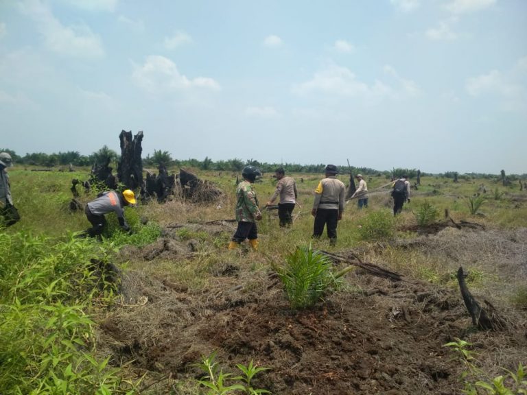  Cepat Tanggap Jajaran Polsek Pujud Lakukan Penanganan Kebakaran Lahan