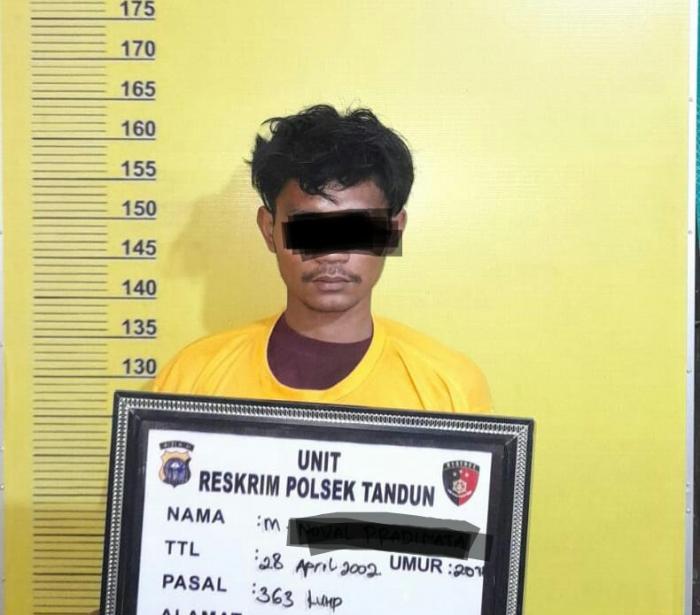 Tak Butuh Waktu Lama Polsek Tandun Berhasil Ungkap Pelaku Pencurian HP 3 Unit