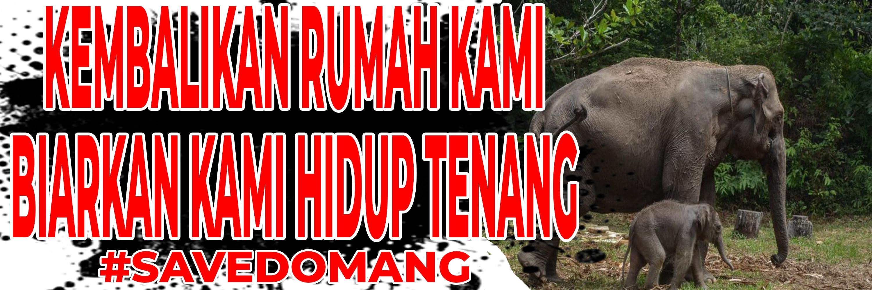 Ratusan Massa Dukung Penertiban TNTN, Serahkan Boneka Gajah “Tari & Domang” dan Bacakan Petisi di Kantor Gubernur dan Kejati Riau