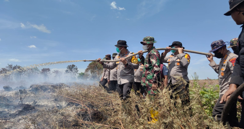 Kolaborasi Polisi-TNI-BPBD Berjibaku Padamkan Karhutla di Rokan Hilir