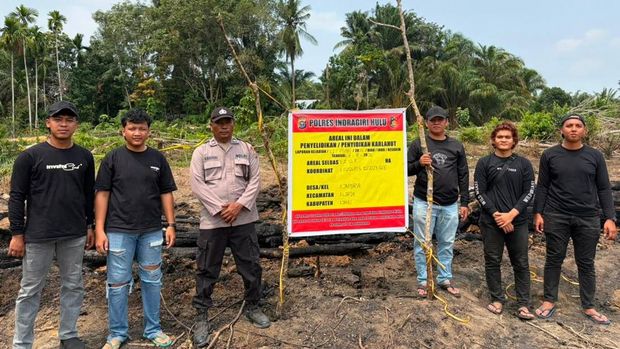 "Ulah Pria Bakar 1,5 Hektare Lahan di Inhu dengan Dalih Usir  nyamuk