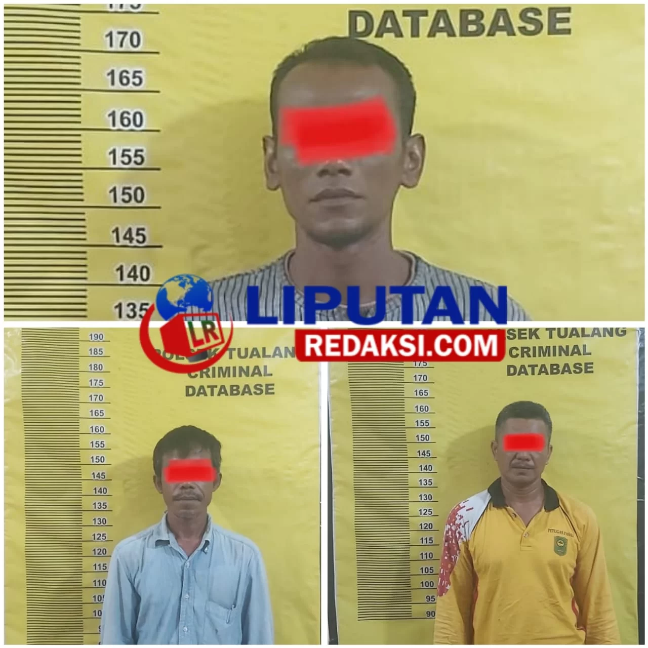 Pelaku Curat atau Penipuan di Area PT. IKPP Perawang Ditangkap Polisi, Begini Modusnya