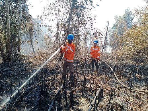 Polda Riau Tetapkan 31 Tersangka Karhutla