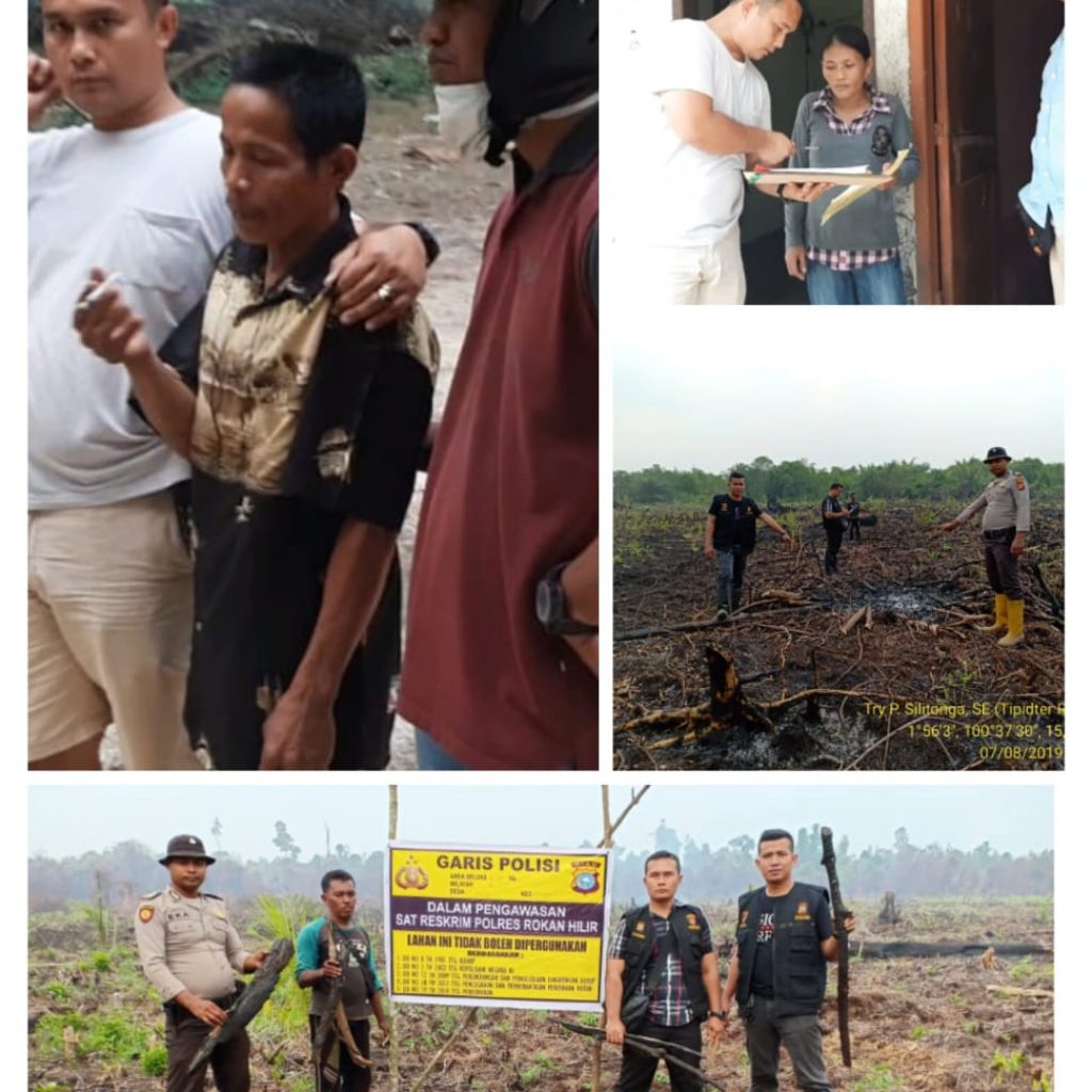 Pelaku Pembakaran Hutan Dan Lahan Kubu Babusalam Rohil Berhasil Di Bekuk Team Polres Rokan Hilir.