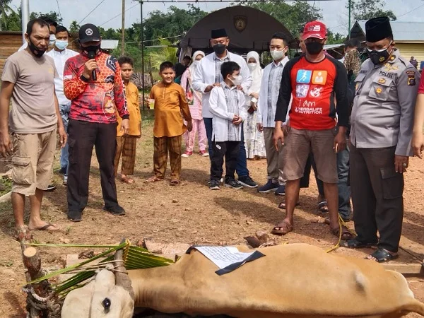 Idul Adha, Polres Kepulauan Meranti Sembelih 13 Ekor Hewan Kurban